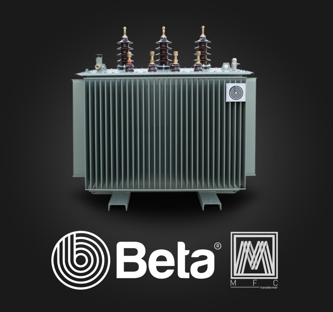beta (Large)