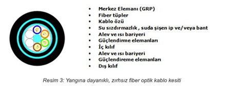 image-19