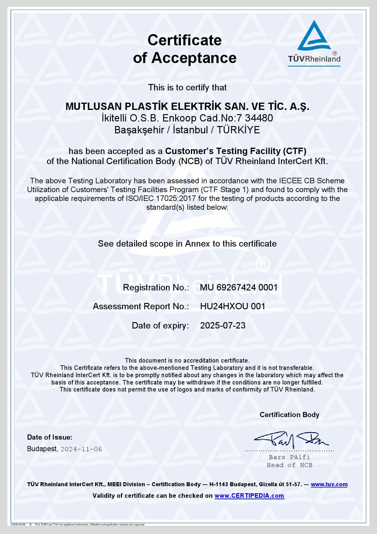 TÜV CTF Sertifikası-1