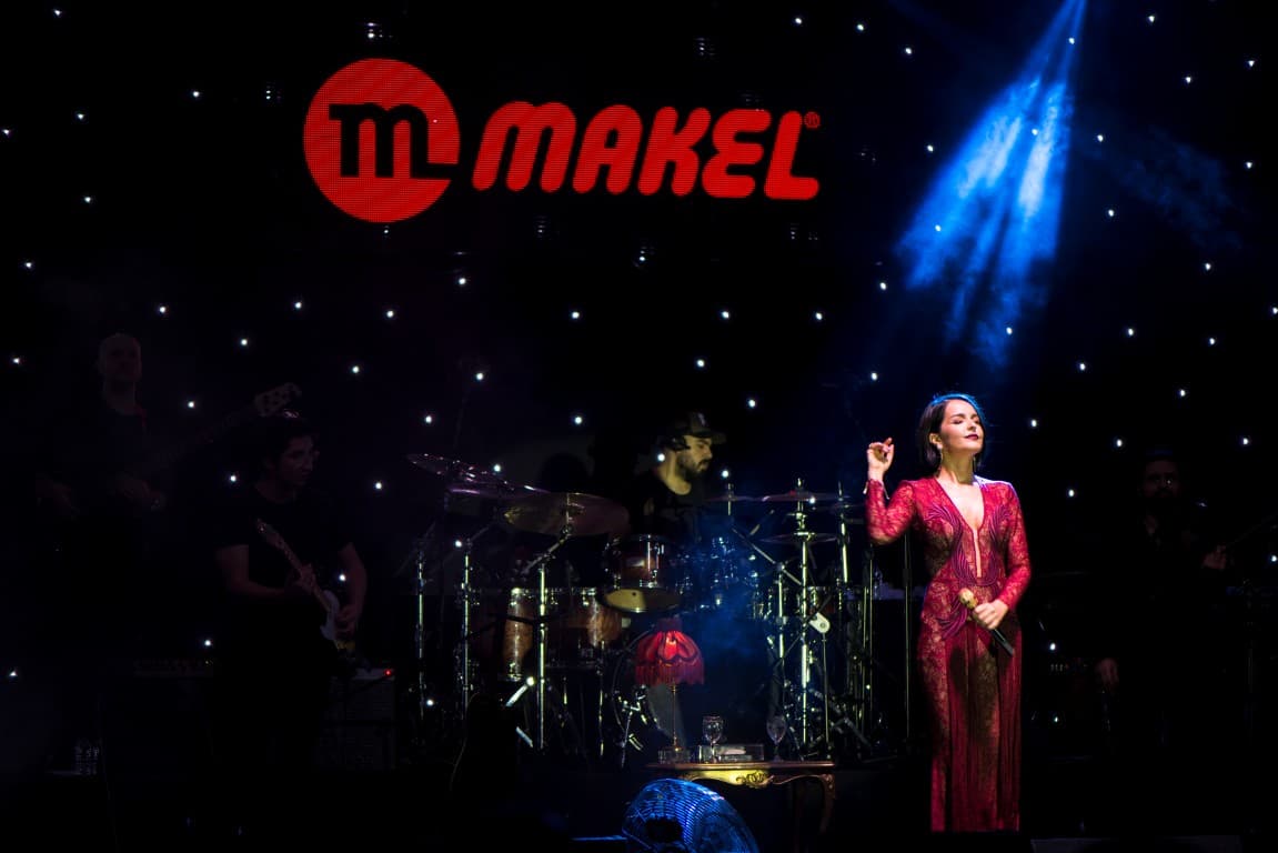 Makel Elektrik (4) (Medium)