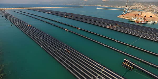 cypruswater