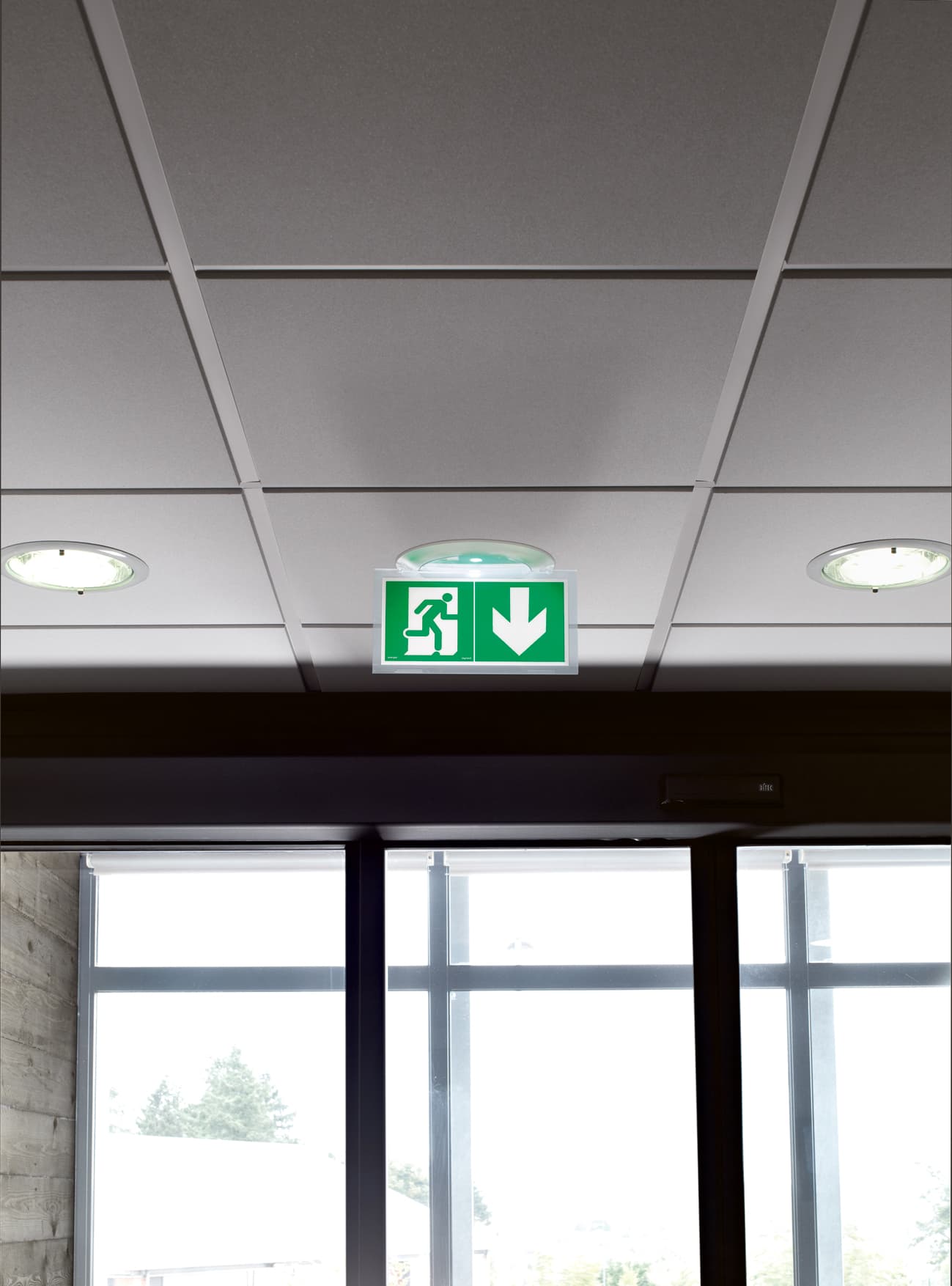 legrand_emniyet-aydinlatma_exit-lambasi