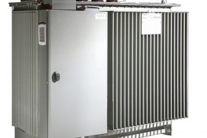 minera (2) (Medium)
