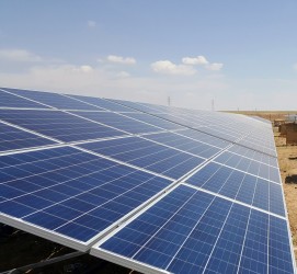 1479121326_ekore_konyakulu_2-medium