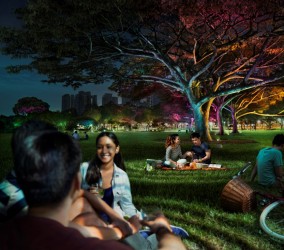 1480924066_philips_b2b_key_visual_parks-medium