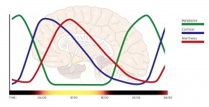 ZEVE Aydinlatma (4) (Large)