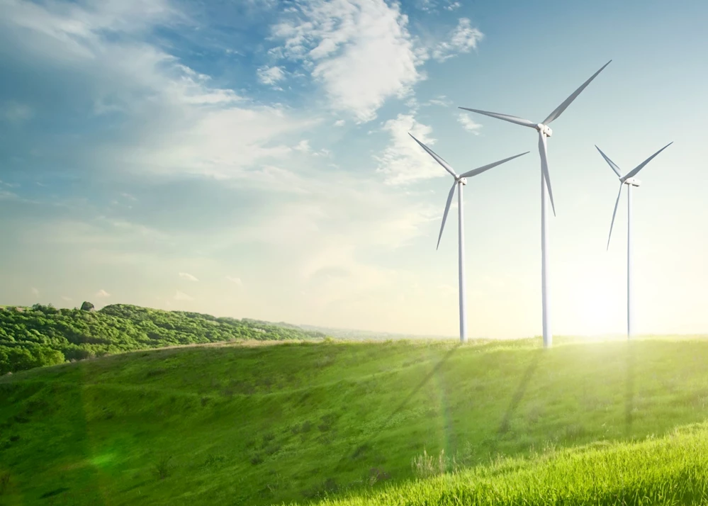 Borusan EnBW Enerji Saros Res İçin 180 Milyon ABD Doları Yatırım Yapıyor